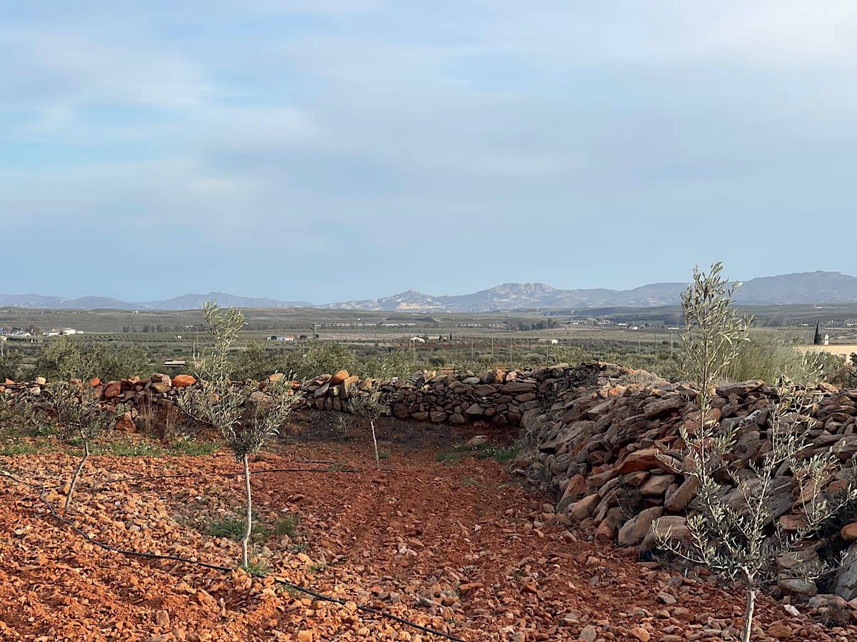 Undeveloped Land for sale in Uleila del Campo - € 116,000 (Ref: 9076507)