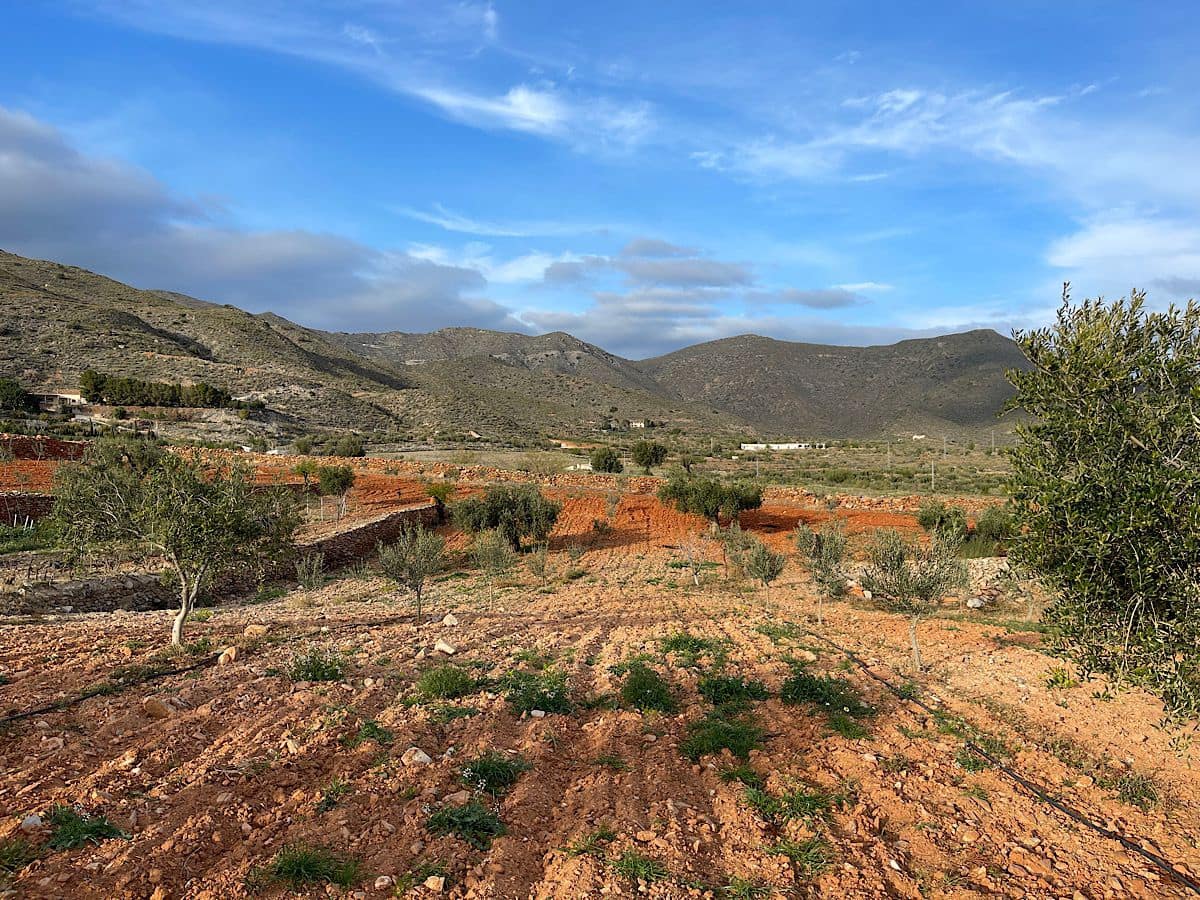 Undeveloped Land for sale in Uleila del Campo - € 116,000 (Ref: 9076507)