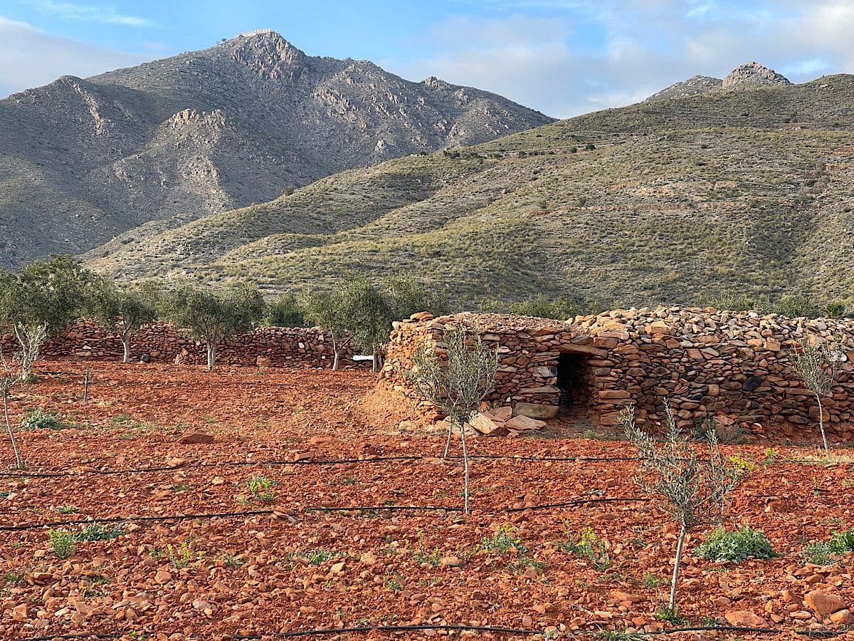 Undeveloped Land for sale in Uleila del Campo - € 116,000 (Ref: 9076507)