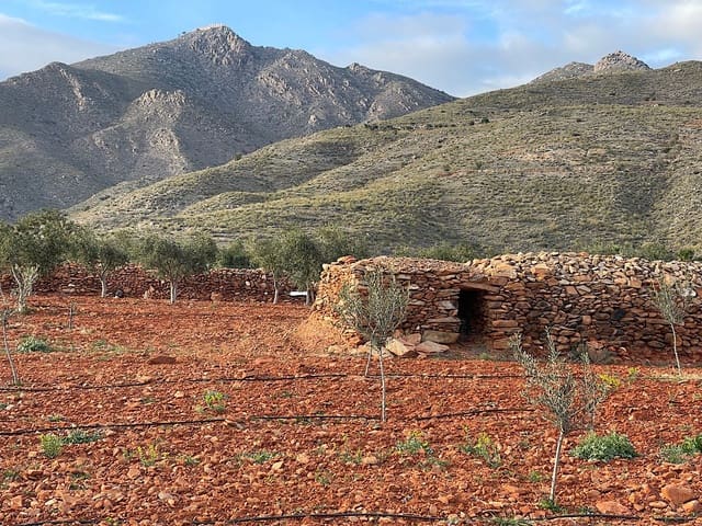 Teren niezagospodarowany na sprzedaż w Uleila del Campo - 116 000 € (Ref: 9076507)