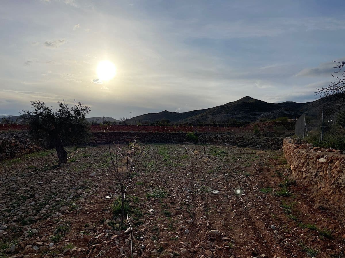 Undeveloped Land for sale in Uleila del Campo - € 116,000 (Ref: 9076507)