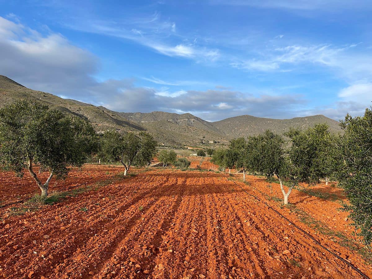 Undeveloped Land for sale in Uleila del Campo - € 116,000 (Ref: 9076507)