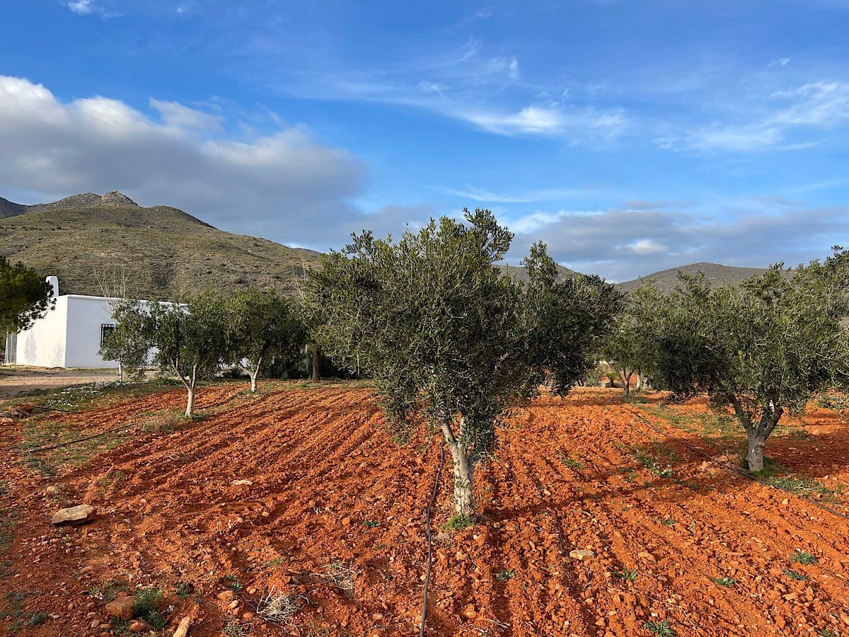 Undeveloped Land for sale in Uleila del Campo - € 116,000 (Ref: 9076507)