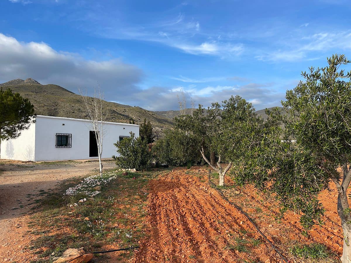 Undeveloped Land for sale in Uleila del Campo - € 116,000 (Ref: 9076507)