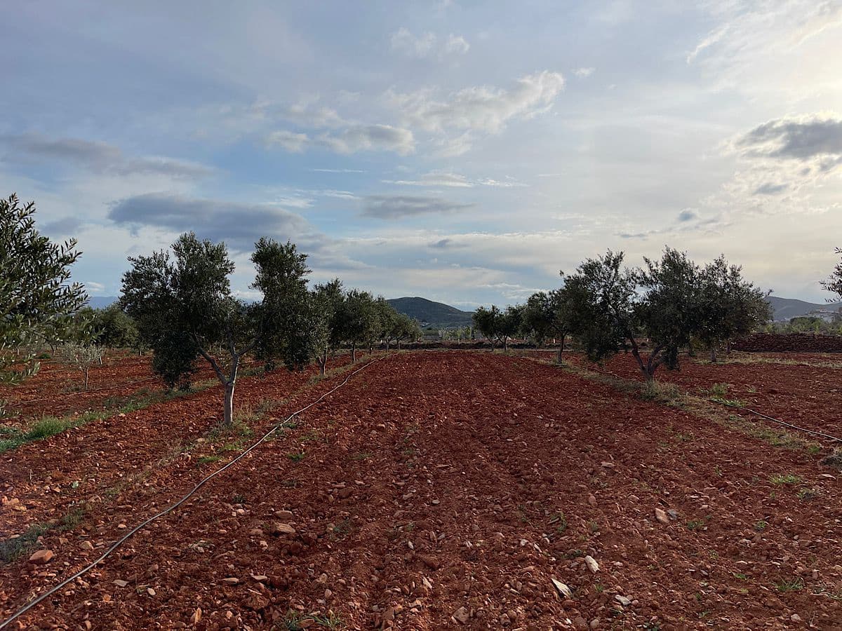 Undeveloped Land for sale in Uleila del Campo - € 116,000 (Ref: 9076507)