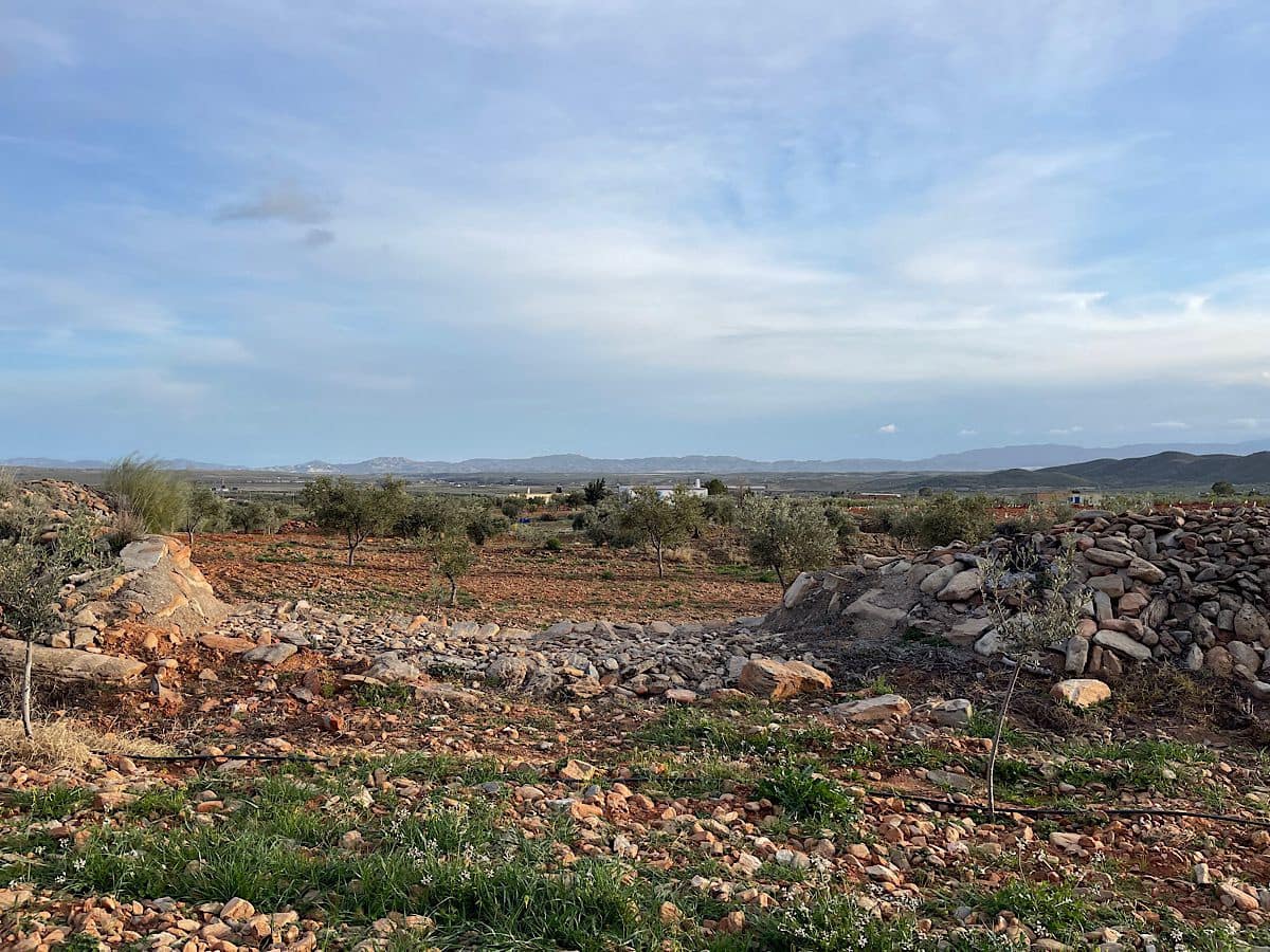 Undeveloped Land for sale in Uleila del Campo - € 116,000 (Ref: 9076507)