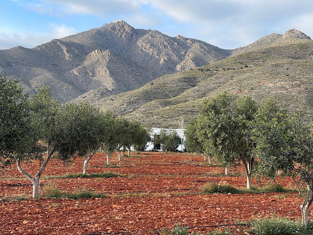 Undeveloped Land for sale in Uleila del Campo - € 116,000 (Ref: 9076507)