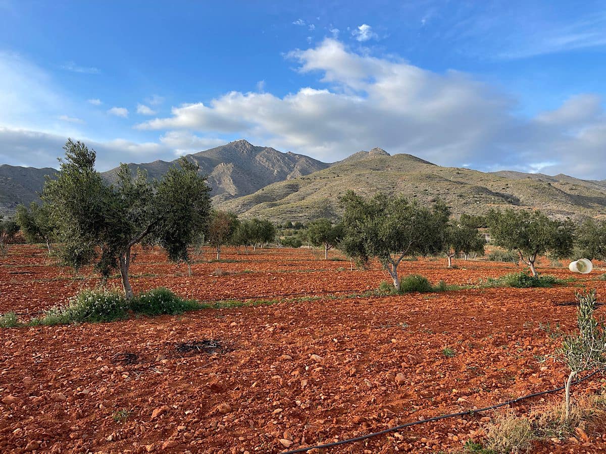 Undeveloped Land for sale in Uleila del Campo - € 116,000 (Ref: 9076507)