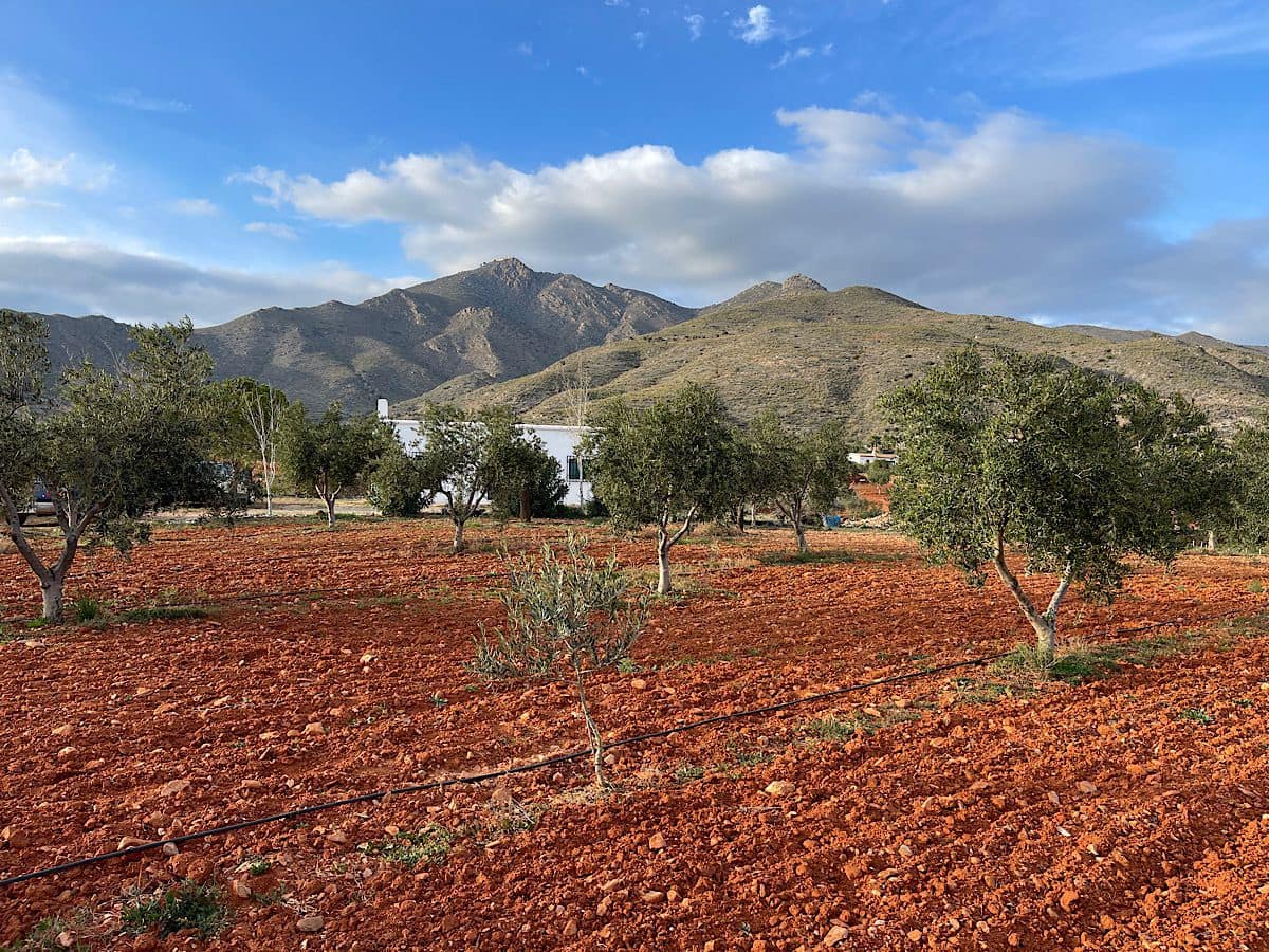 Undeveloped Land for sale in Uleila del Campo - € 116,000 (Ref: 9076507)