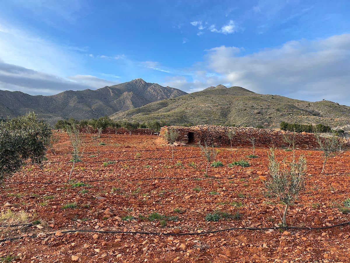 Undeveloped Land for sale in Uleila del Campo - € 116,000 (Ref: 9076507)