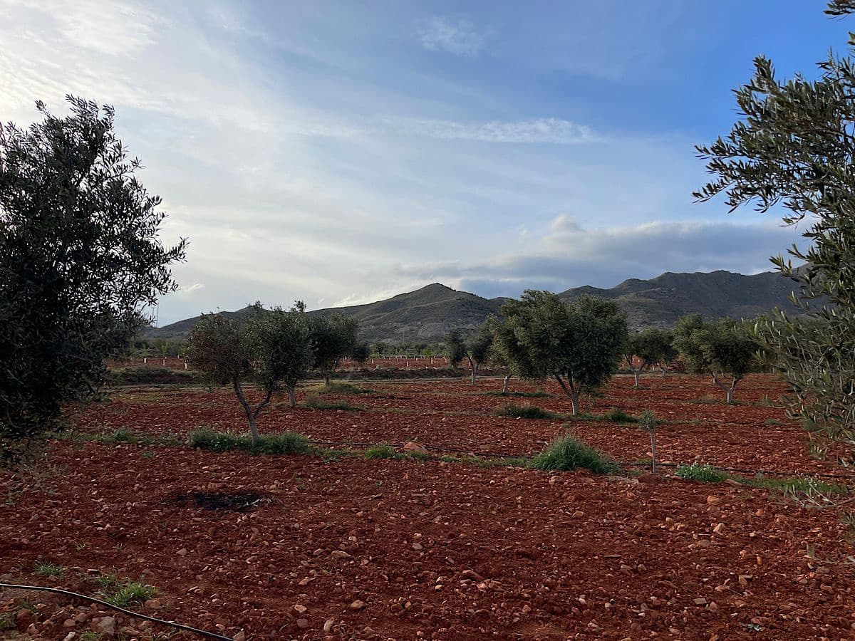 Undeveloped Land for sale in Uleila del Campo - € 116,000 (Ref: 9076507)