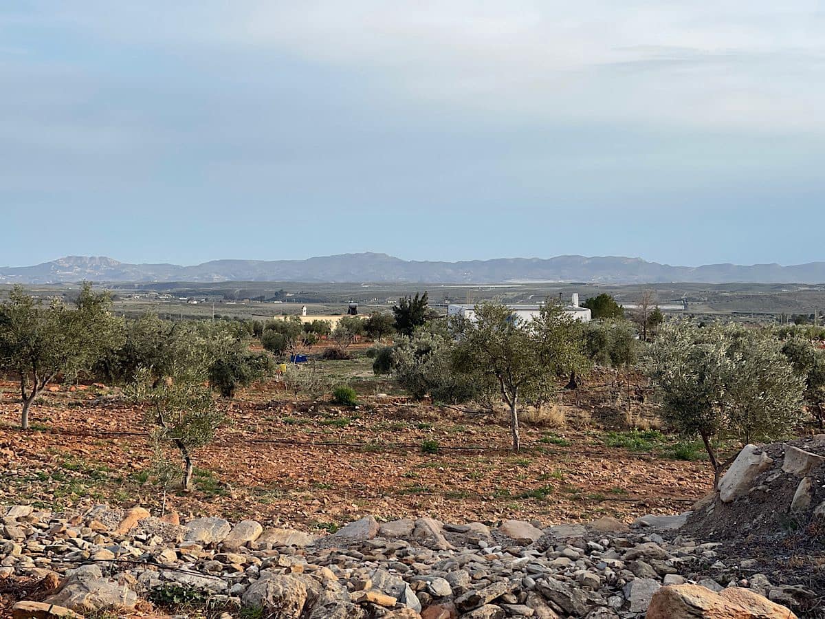 Undeveloped Land for sale in Uleila del Campo - € 116,000 (Ref: 9076507)