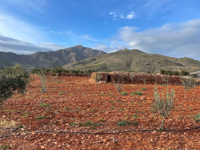 Teren niezagospodarowany na sprzedaż w Uleila del Campo - 116 000 € (Ref: 9076507)