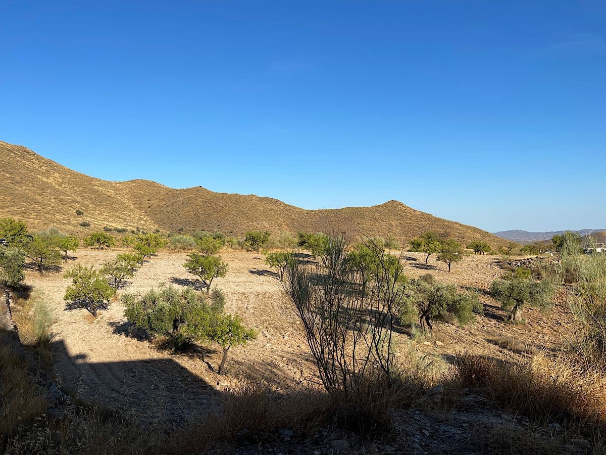 3 soveværelse Finca/Landehus til salg i Benizalon - € 65.000 (Ref: 9167396)