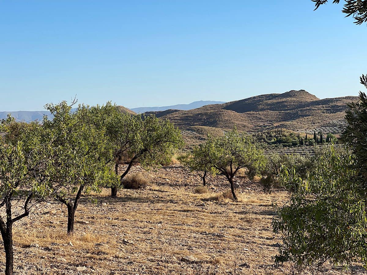 3 soveværelse Finca/Landehus til salg i Benizalon - € 65.000 (Ref: 9167396)