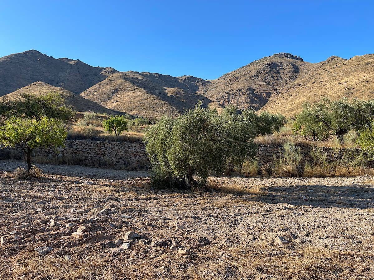 3 soveværelse Finca/Landehus til salg i Benizalon - € 65.000 (Ref: 9167396)