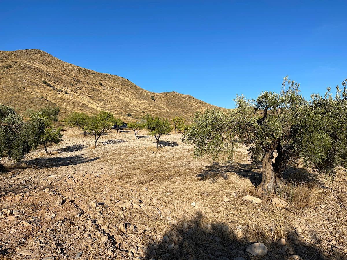 3 soveværelse Finca/Landehus til salg i Benizalon - € 65.000 (Ref: 9167396)