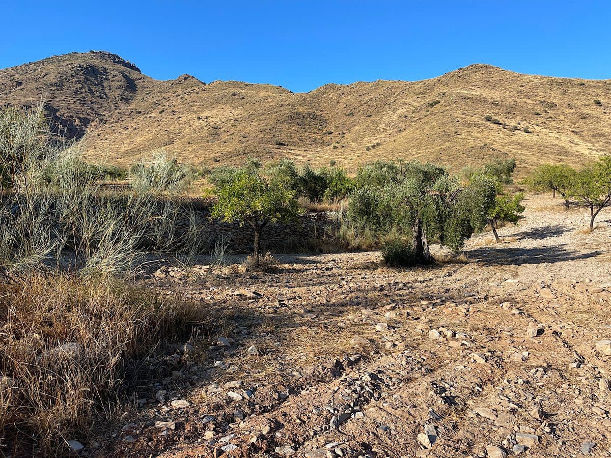 3 soveværelse Finca/Landehus til salg i Benizalon - € 65.000 (Ref: 9167396)