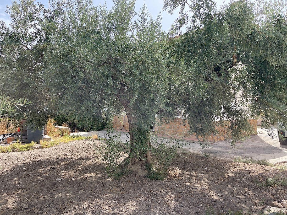 2 soverom Hus til salgs i Cariatiz - € 80 000 (Ref: 9176639)