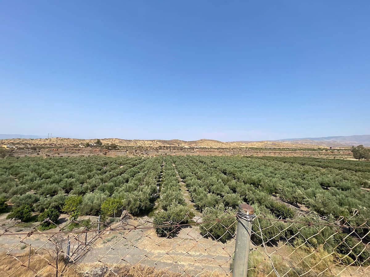 2 soverom Finca/Herregård til salgs i Tabernas - € 275 000 (Ref: 9191375)