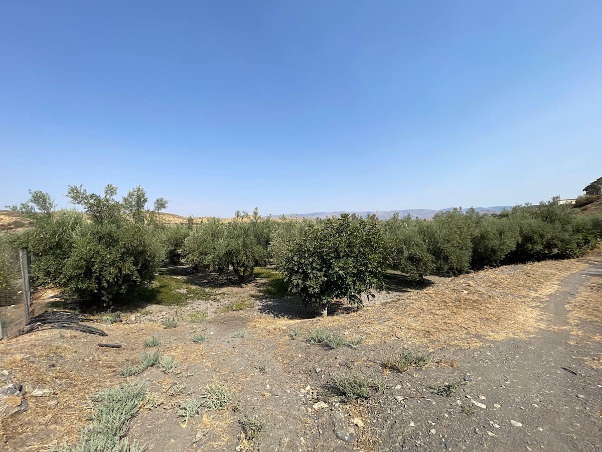 2 soverom Finca/Herregård til salgs i Tabernas - € 275 000 (Ref: 9191375)