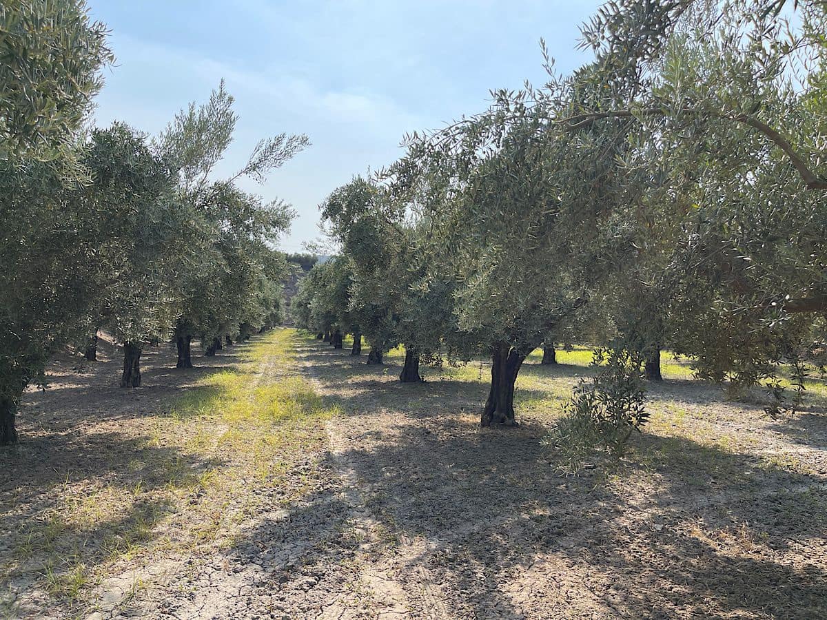 2 soverom Finca/Herregård til salgs i Tabernas - € 275 000 (Ref: 9191375)