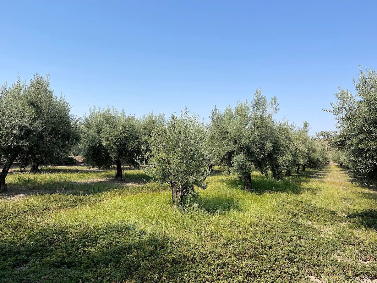 2 soverom Finca/Herregård til salgs i Tabernas - € 275 000 (Ref: 9191375)