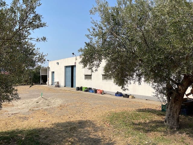 2 soveværelse Finca/Landehus til salg i Tabernas - € 275.000 (Ref: 9191375)