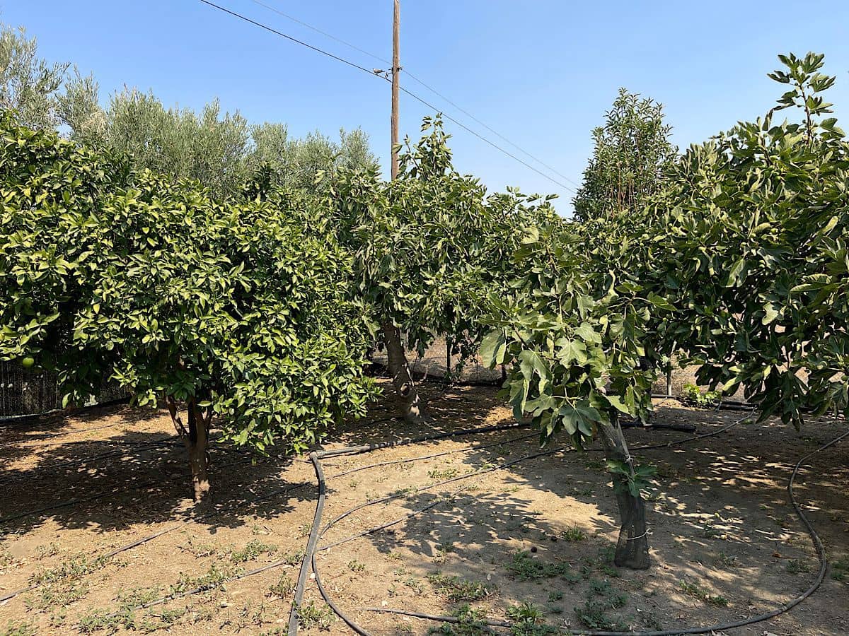 2 soverom Finca/Herregård til salgs i Tabernas - € 275 000 (Ref: 9191375)