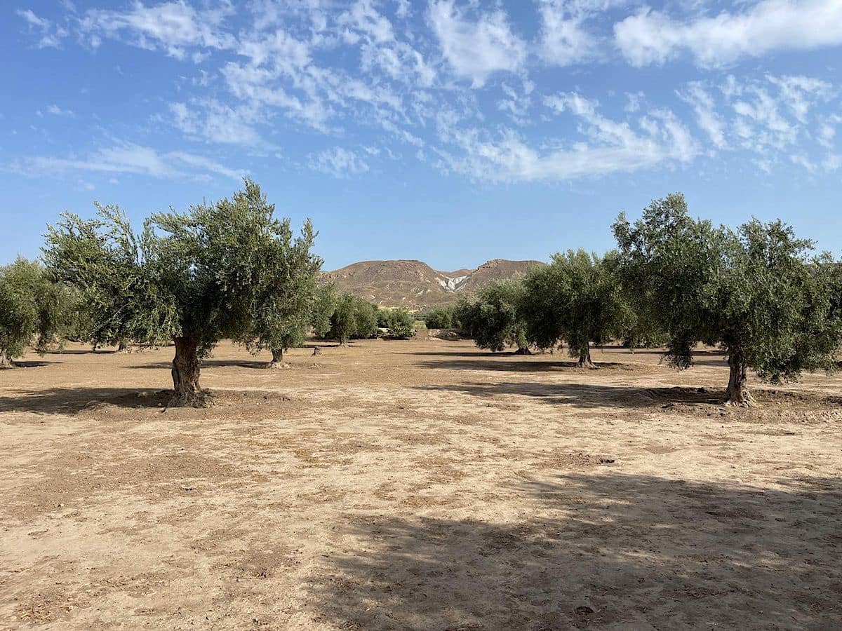 3 soveværelse Finca/Landehus til salg i Tabernas med garage - € 260.000 (Ref: 9215481)