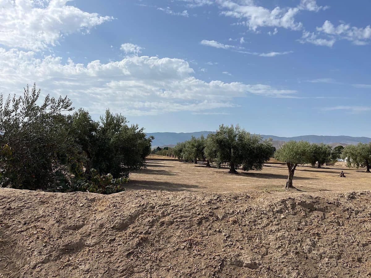3 soveværelse Finca/Landehus til salg i Tabernas med garage - € 260.000 (Ref: 9215481)