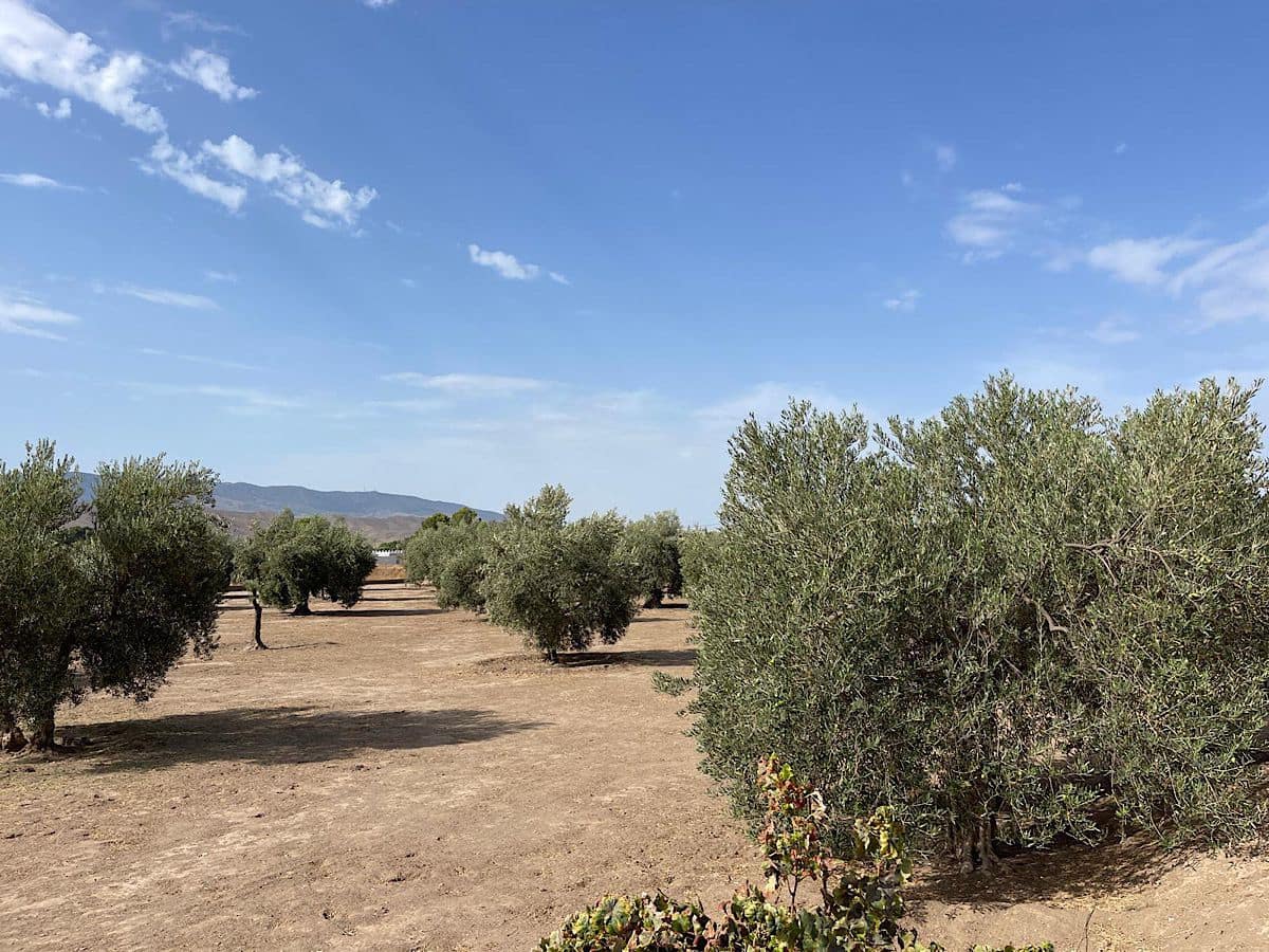 3 soveværelse Finca/Landehus til salg i Tabernas med garage - € 260.000 (Ref: 9215481)