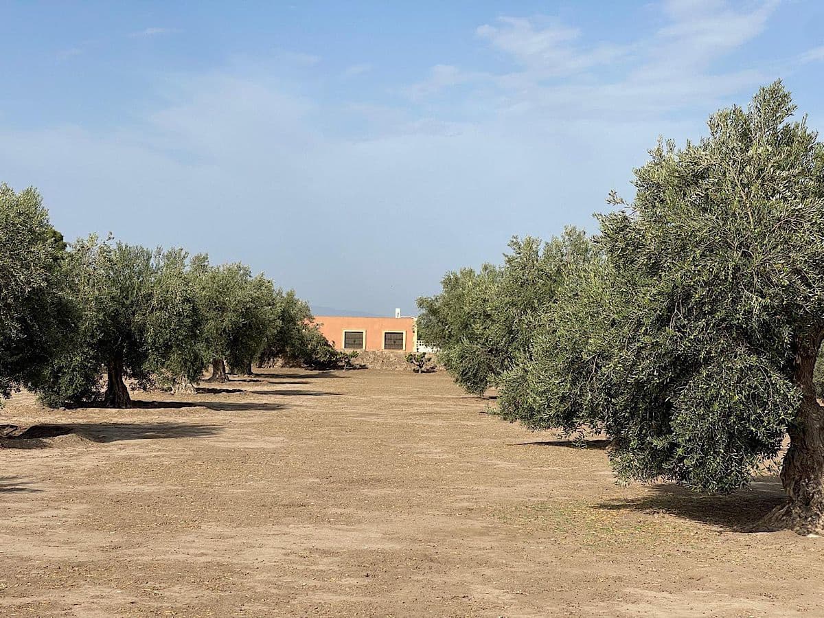 3 soveværelse Finca/Landehus til salg i Tabernas med garage - € 260.000 (Ref: 9215481)