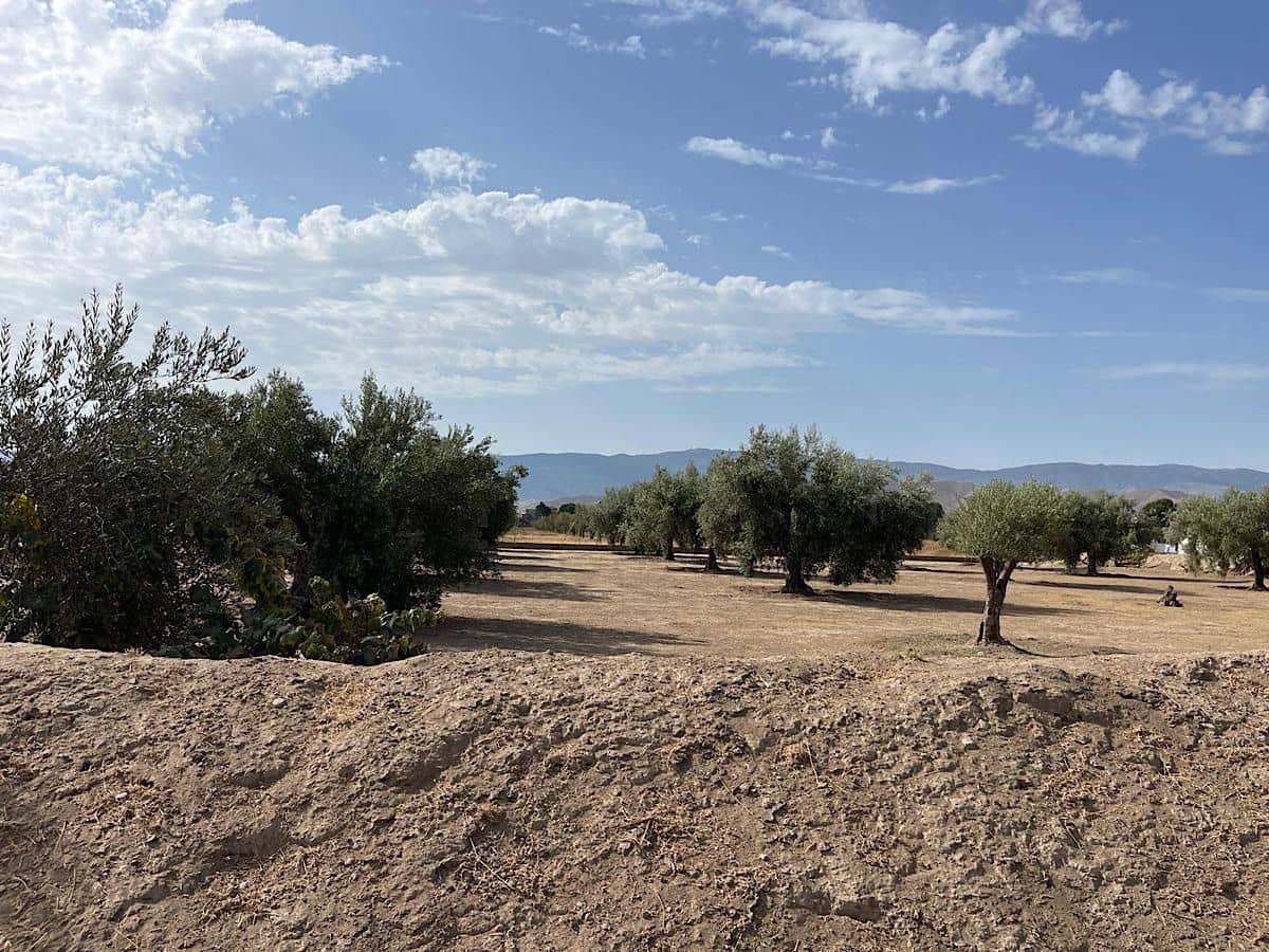 3 soveværelse Finca/Landehus til salg i Tabernas med garage - € 260.000 (Ref: 9215481)