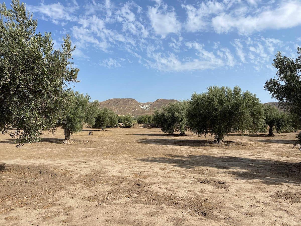 3 soveværelse Finca/Landehus til salg i Tabernas med garage - € 260.000 (Ref: 9215481)