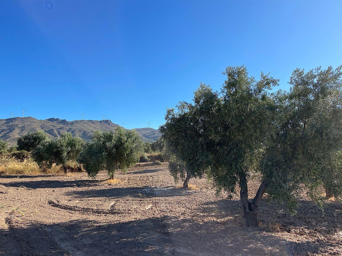 3 soveværelse Finca/Landehus til salg i Turrillas - € 195.000 (Ref: 9233143)