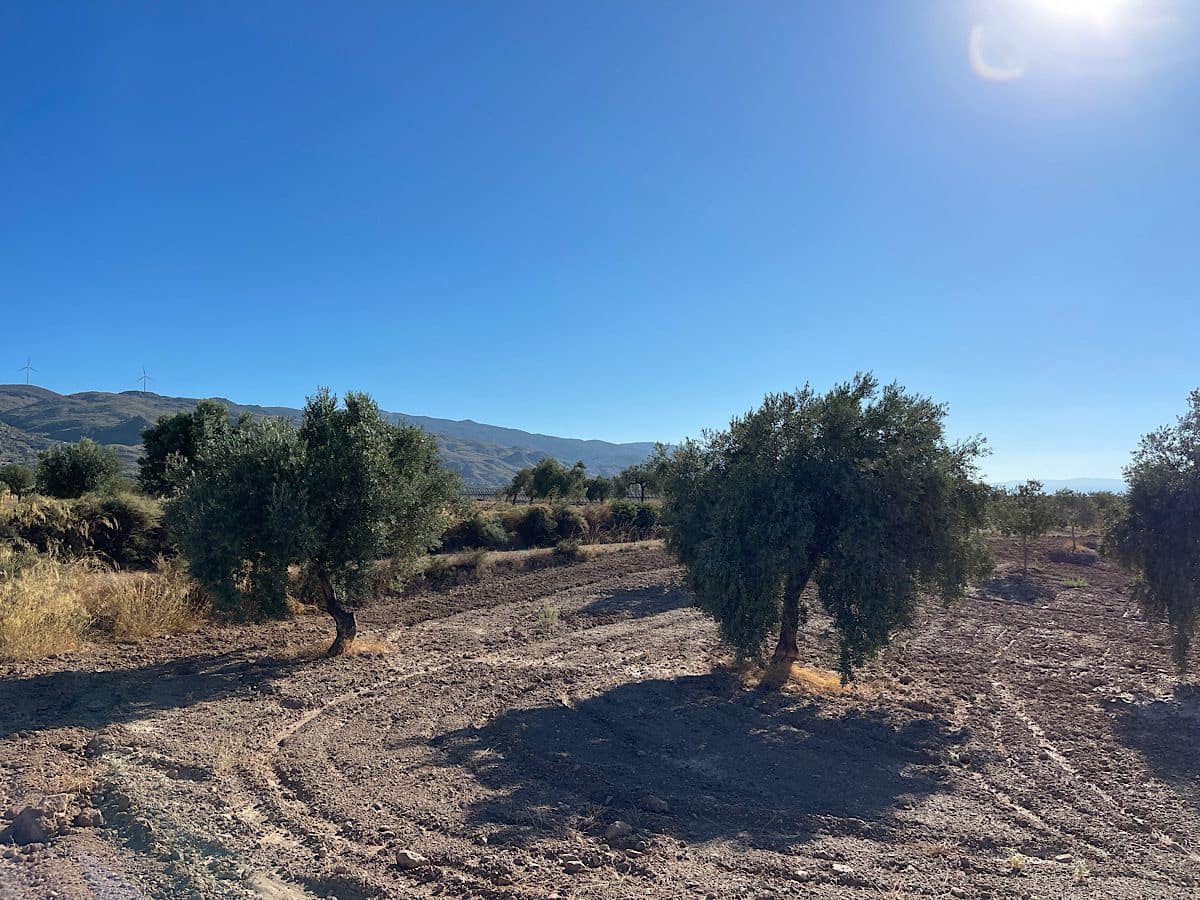 3 soveværelse Finca/Landehus til salg i Turrillas - € 195.000 (Ref: 9233143)