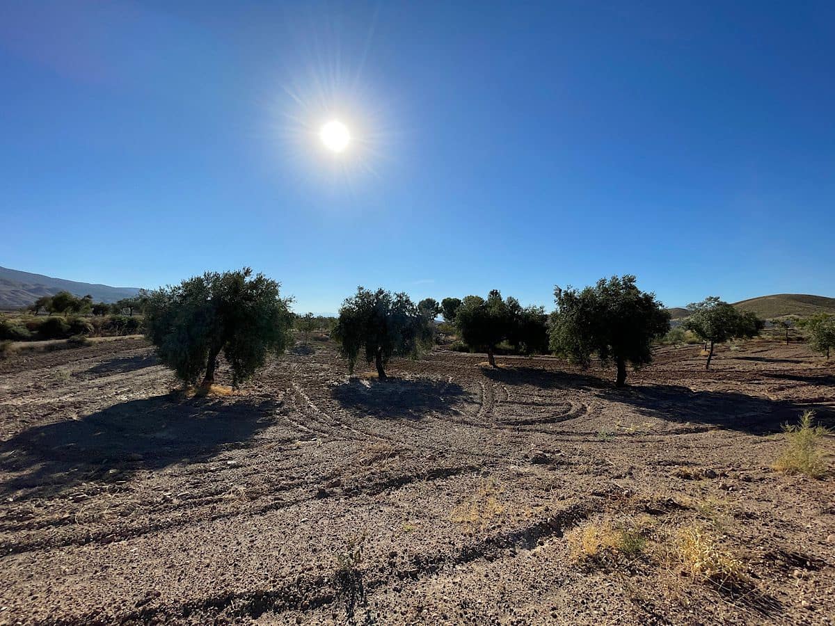 3 soveværelse Finca/Landehus til salg i Turrillas - € 195.000 (Ref: 9233143)