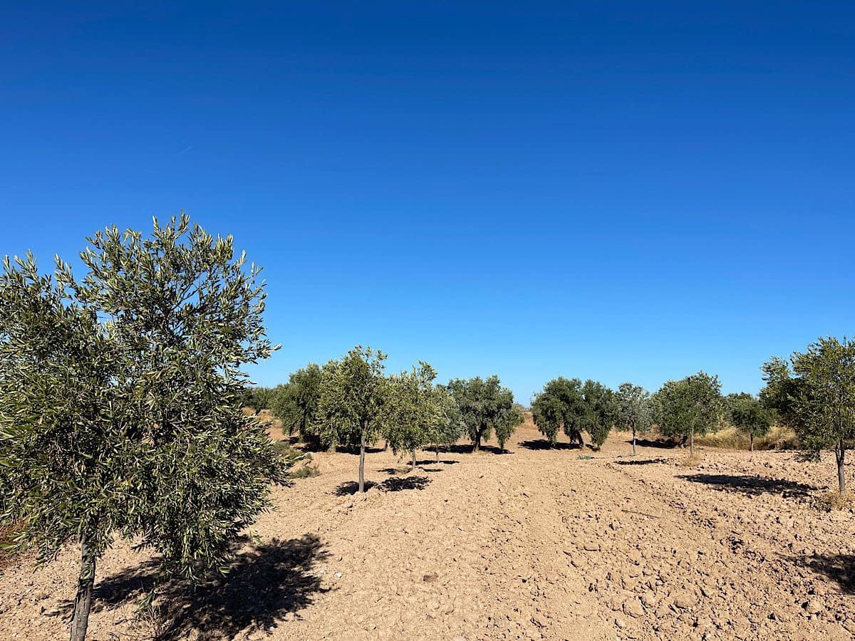 3 soveværelse Finca/Landehus til salg i Turrillas - € 195.000 (Ref: 9233143)