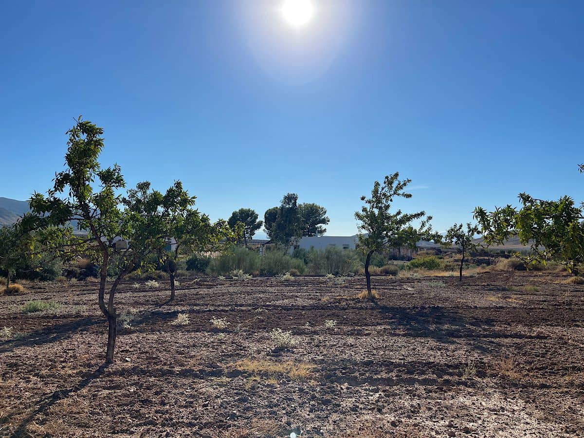 3 soveværelse Finca/Landehus til salg i Turrillas - € 195.000 (Ref: 9233143)