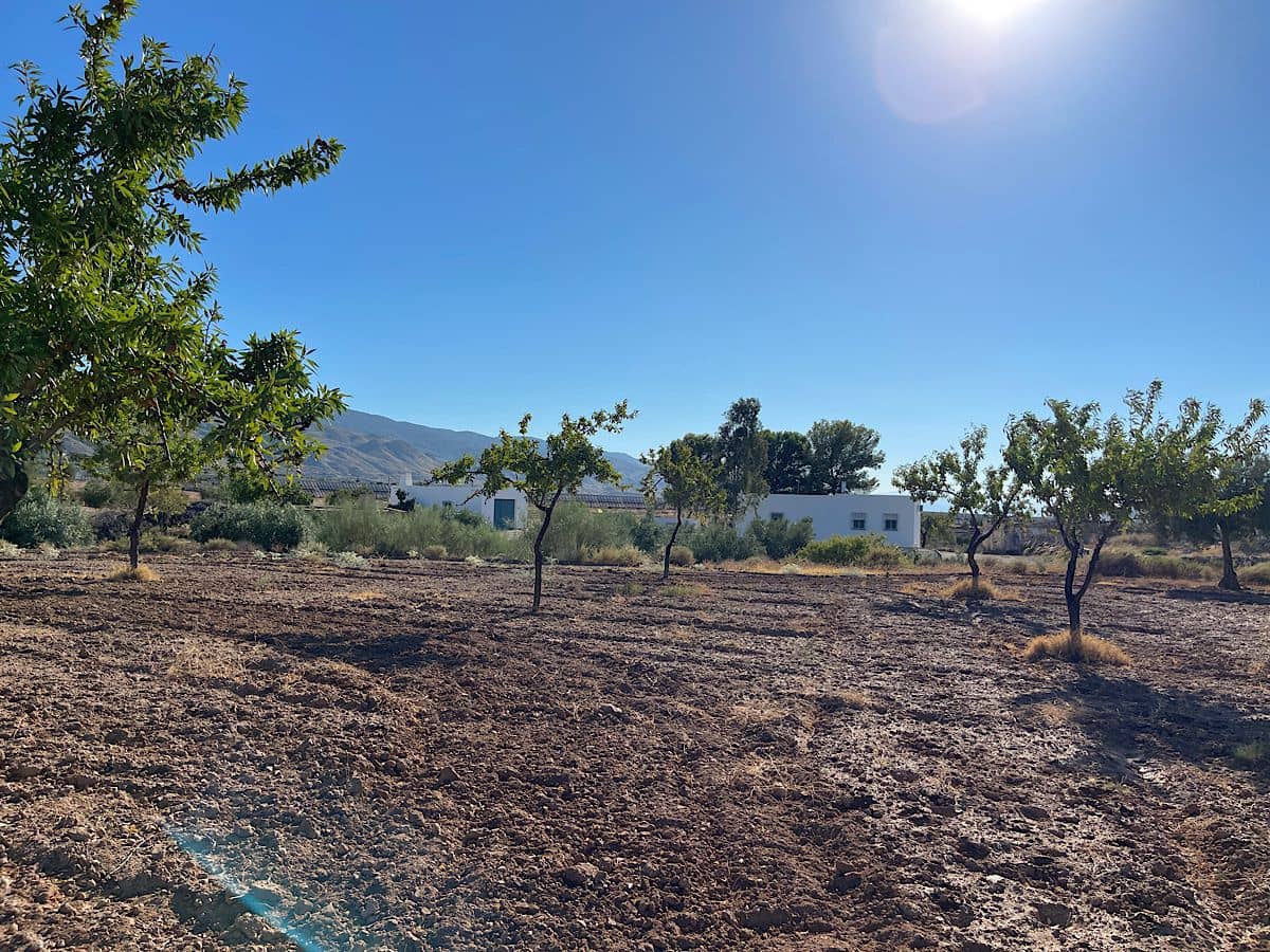 3 soveværelse Finca/Landehus til salg i Turrillas - € 195.000 (Ref: 9233143)