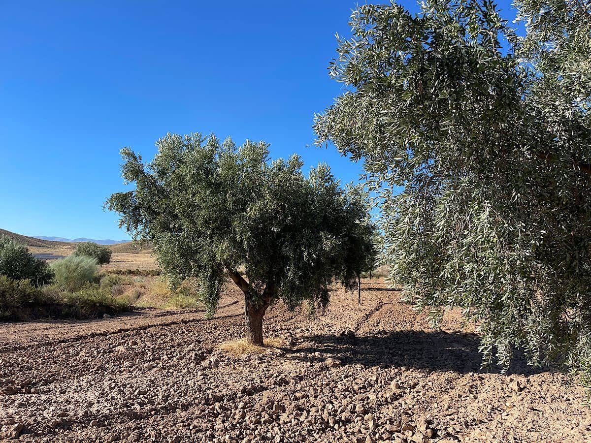 3 soveværelse Finca/Landehus til salg i Turrillas - € 195.000 (Ref: 9233143)