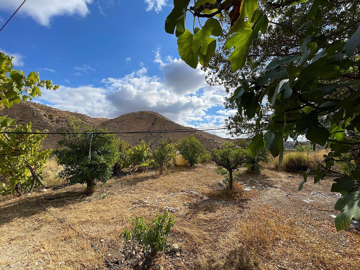 4 quarto Quinta/Casa Rural para venda em Sorbas com garagem - 220 000 € (Ref: 9294213)