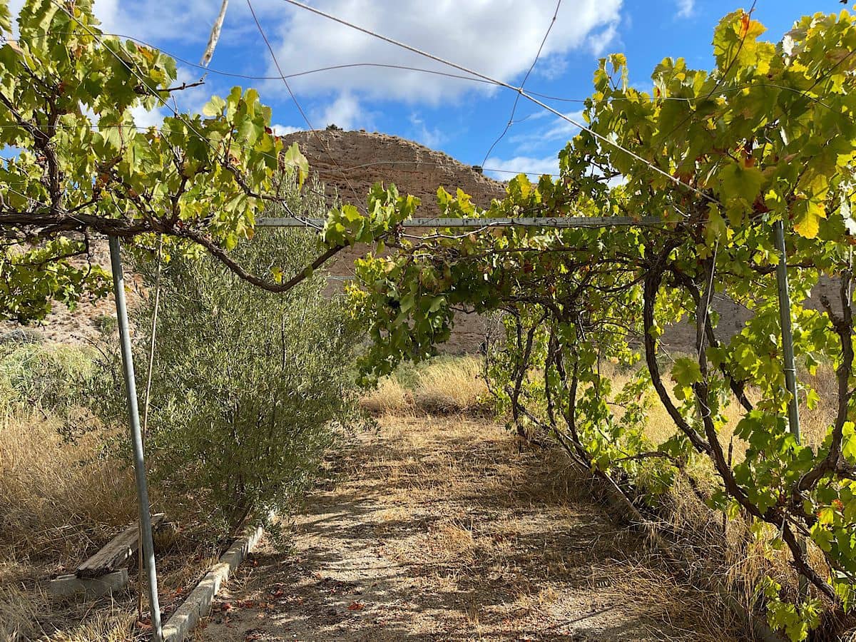 4 quarto Quinta/Casa Rural para venda em Sorbas com garagem - 220 000 € (Ref: 9294213)