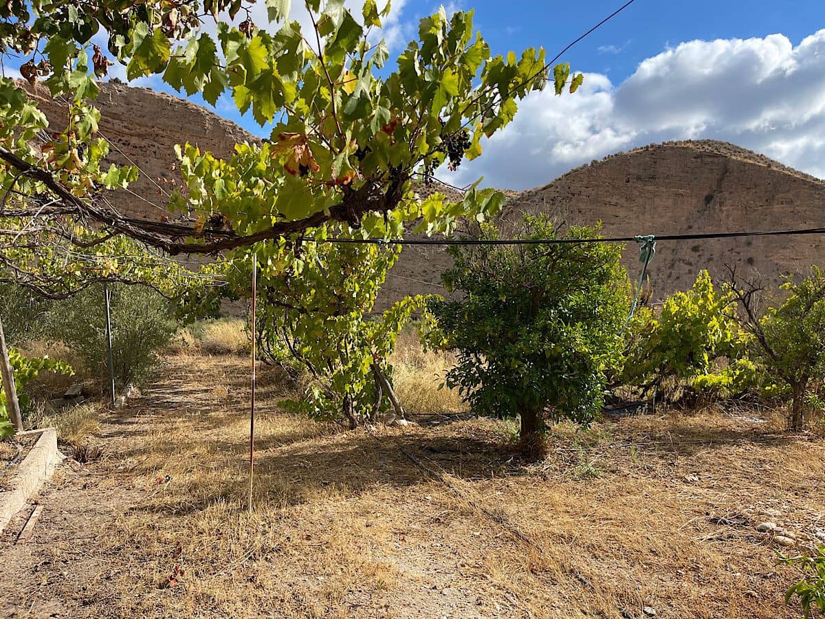 4 quarto Quinta/Casa Rural para venda em Sorbas com garagem - 220 000 € (Ref: 9294213)