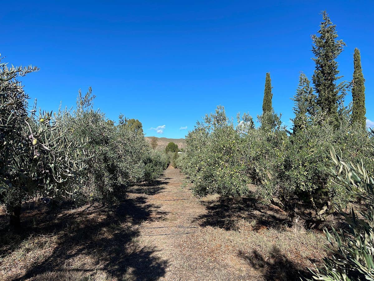 4 soveværelse Finca/Landehus til salg i Tabernas - € 190.000 (Ref: 9356830)