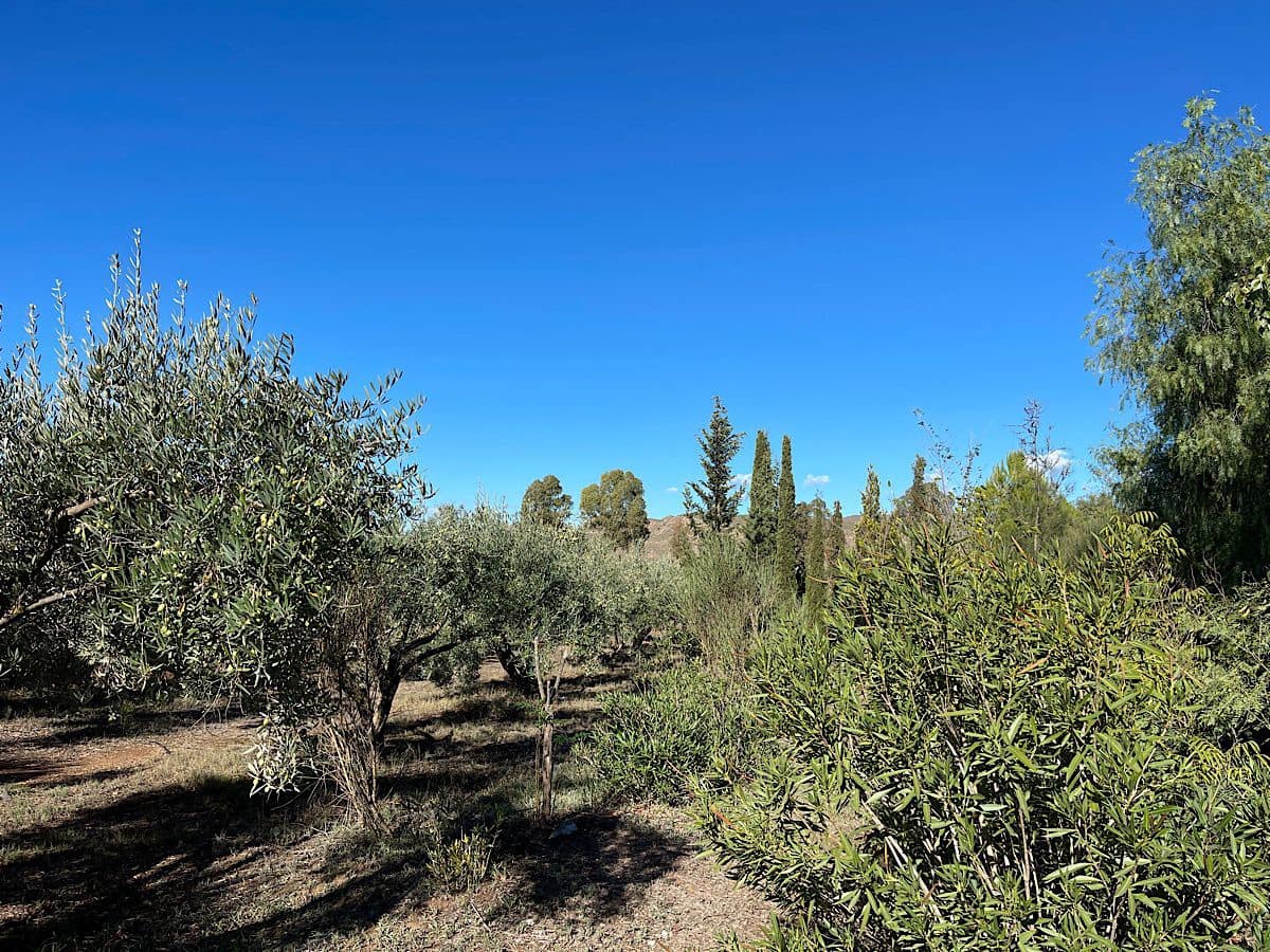 4 soveværelse Finca/Landehus til salg i Tabernas - € 190.000 (Ref: 9356830)