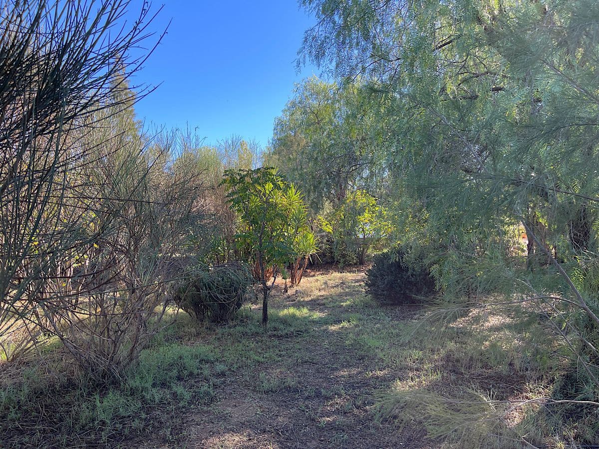 4 soveværelse Finca/Landehus til salg i Tabernas - € 190.000 (Ref: 9356830)