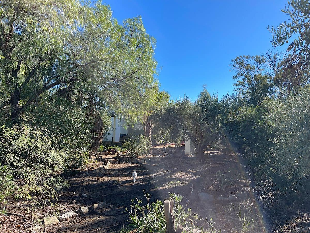 4 soveværelse Finca/Landehus til salg i Tabernas - € 190.000 (Ref: 9356830)