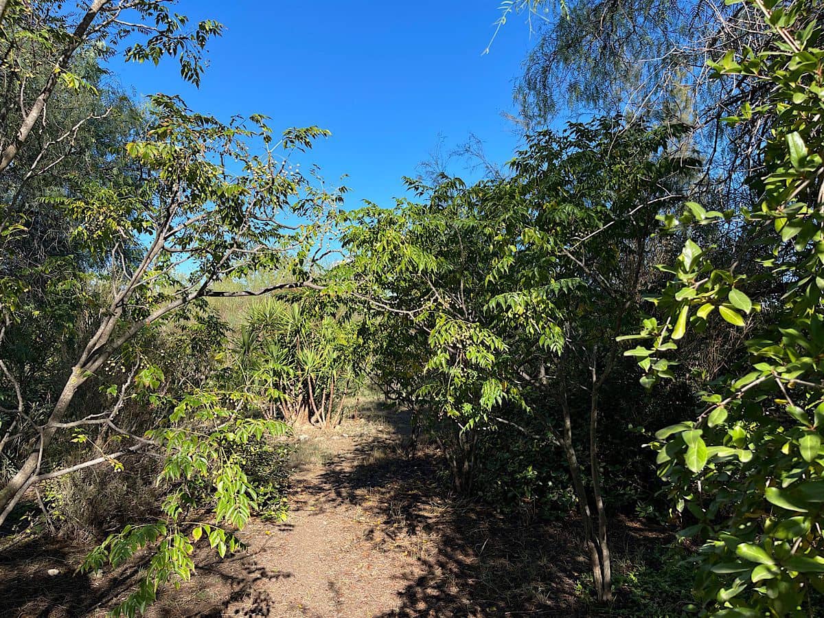 4 soveværelse Finca/Landehus til salg i Tabernas - € 190.000 (Ref: 9356830)